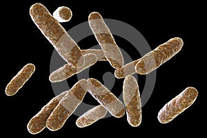 Bacteria Eikenella, illustration