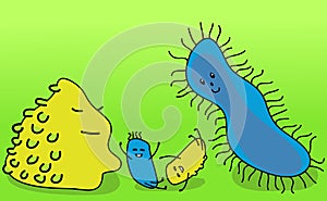 Bacteria family