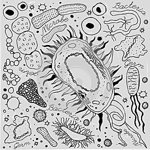 Bacteria hand-drawn image