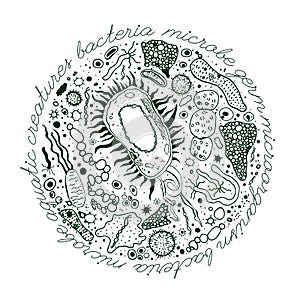 Bacteria hand-drawn image