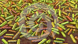 Bacteria, human microbiome