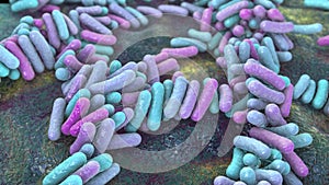 Bacteria, human microbiome