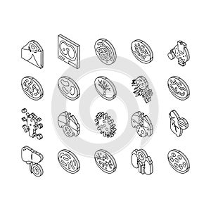 Bacteria Infection Collection isometric icons set vector