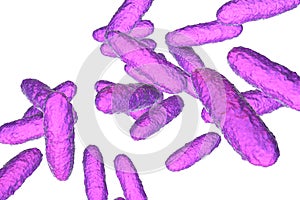 Bacteria Klebsiella granulomatis, the causative agent of granuloma inguinale