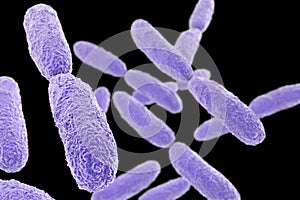 Bacteria Klebsiella, illustration photo