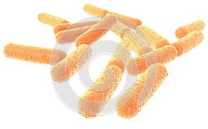 Bacteria Lactobacillus, medically accurate 3D illustration on white background
