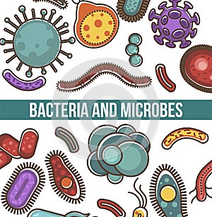 Bacteria and microbes poster with text and organisms vector