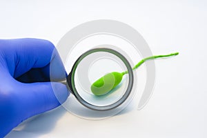 Bacteria microbiology test or analysis concept photo. Doctor, technician or scientist looks at model bacterial cell through magnif photo