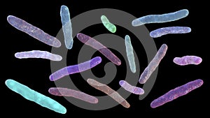 Bacteria Mycobacterium tuberculosis, the causative agent of tuberculosis