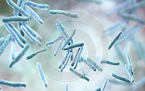 Bacteria Mycobacterium tuberculosis