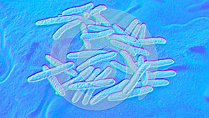 Bacteria Mycobacterium tuberculosis, the causative agent of tuberculosis, 3D illustration