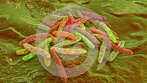 Bacteria Mycobacterium tuberculosis, the causative agent of tuberculosis, 3D illustration