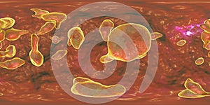 Bacteria Mycoplasma genitalium