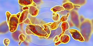 Bacteria Mycoplasma genitalium photo