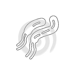 bacteria outline icon. Element of virus icon. Premium quality graphic design icon. Signs and symbols collection icon for websites
