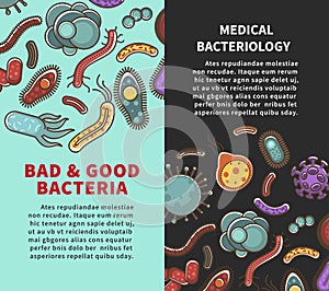 Bacteria posters for medical bacteriology or virus infographics vector flat design photo