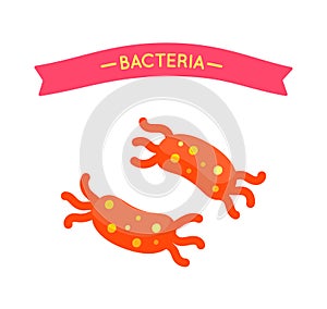 Bacteria Salmonella Poster Vector Illustration