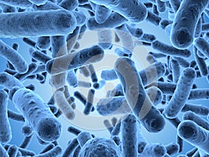 Bacterias para ver exploración microscopio 