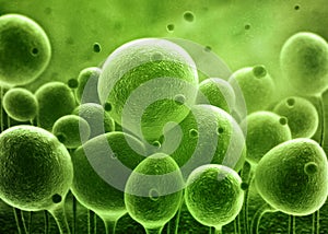 Bacteria SEM concept photo