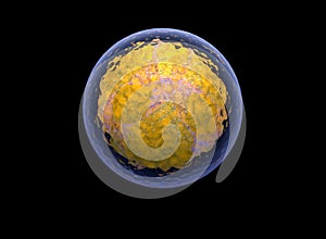 nucleolus, nucleus, 3d stem cell.