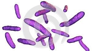 Bacteria Sphingomonas, 3D illustration
