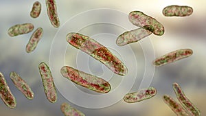 Bacteria Sphingomonas, 3D illustration
