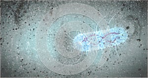 Bacteria swimming in medium bacterium concept pili flagella superbug antibiotic  resistant bacteria brain eating amoeba 3d renderi