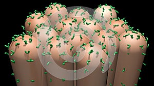 Bacteria on toothbrush. Extreme magnification . View 2. 3d rendering