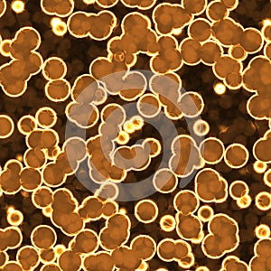 Bacteria under microscope