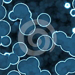 Bacteria under microscope