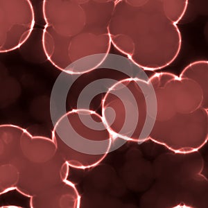 Bacteria under microscope