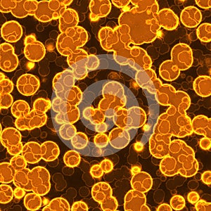 Bacteria under microscope