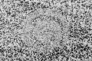 Bacteria under the microscope background