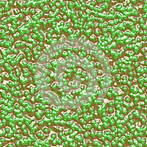 Bacteria under microscope