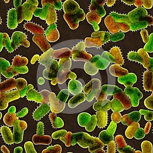 Bacteria under microscope