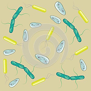 Bacteria vector drawing