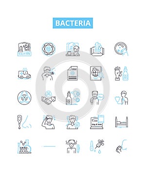 Bacteria vector line icons set. Bacterium, Microbe, Pathogen, Streptococcus, Salmonella, Ecoli, Staphylococcus photo