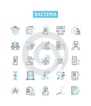 Bacteria vector line icons set. Bacterium, Microbe, Pathogen, Streptococcus, Salmonella, Ecoli, Staphylococcus photo