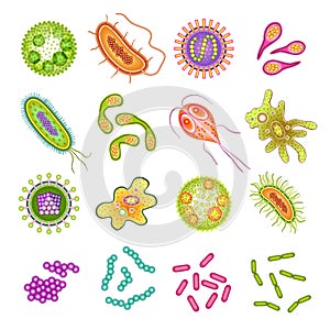 Bacteria and virus cells
