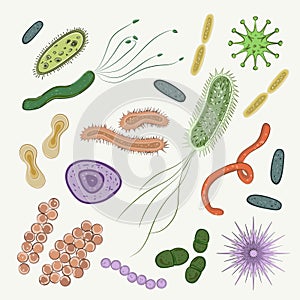 Bacteria, virus, germs icon set