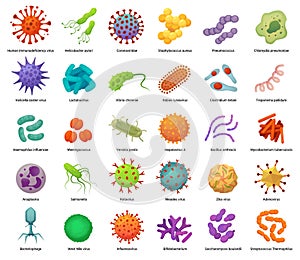 Bacteria and virus icons. Disease-causing bacterias, viruses and microbes. Color germs, bacterium types vector photo