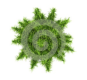 Bacteria, virus or phage 3d conception