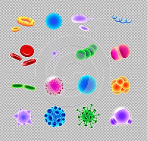 Bacteria and virus realistic vector icons set