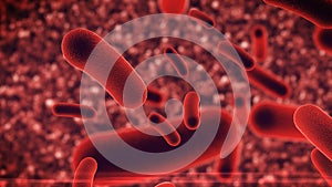 Bacteria virus under microscope