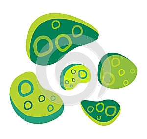 Bacteria virus vector icon