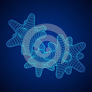 Bacteria virus wireframe mesh photo