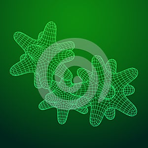 Bacteria virus wireframe mesh photo