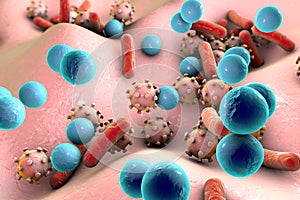 Bacteria and viruses illustration photo