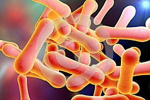 Bacteria which cause diphtheria