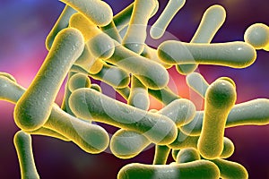 Bacteria which cause diphtheria